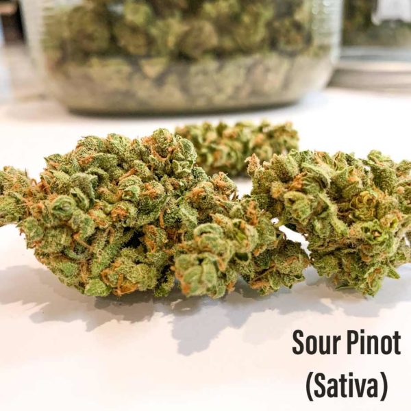 Sour Pinot Seeds Autoflower - Image 2