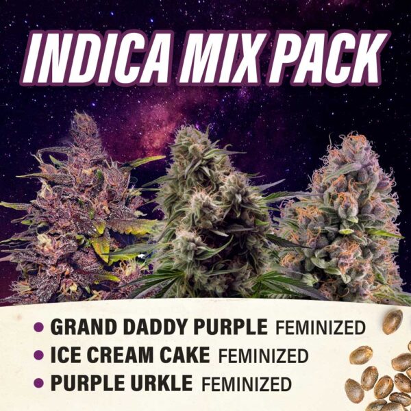 Indica Mix Pack - Feminized