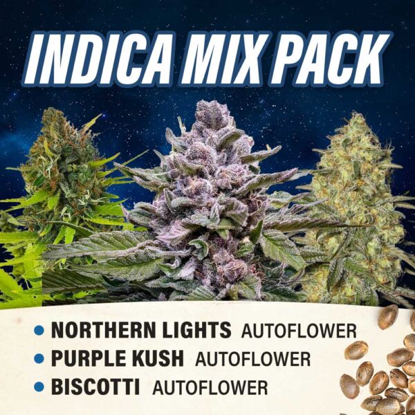 Indica Mix Pack - Autoflower