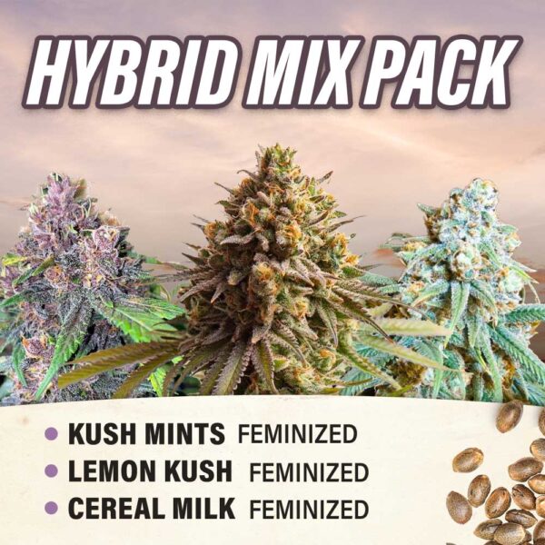 Hybrid Mix Pack - Feminized