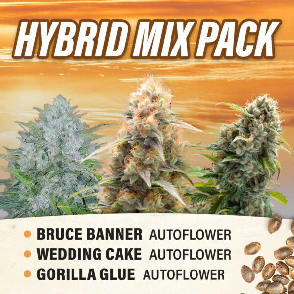 Hybrid Mix Pack - Autoflower