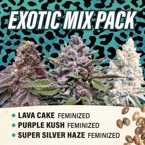 Exotic Mix Pack - Feminized