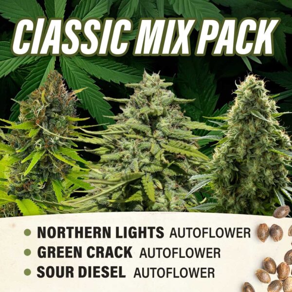 Classics Mix Pack - Autoflower