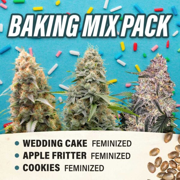 Baking Mix Pack - Feminized